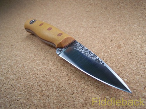 qD8Z384.jpg