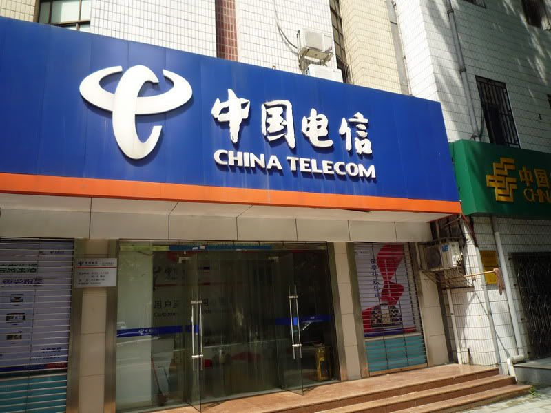 P1060917.jpg