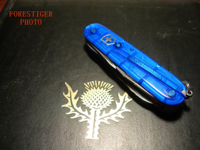 113b247b934.jpg