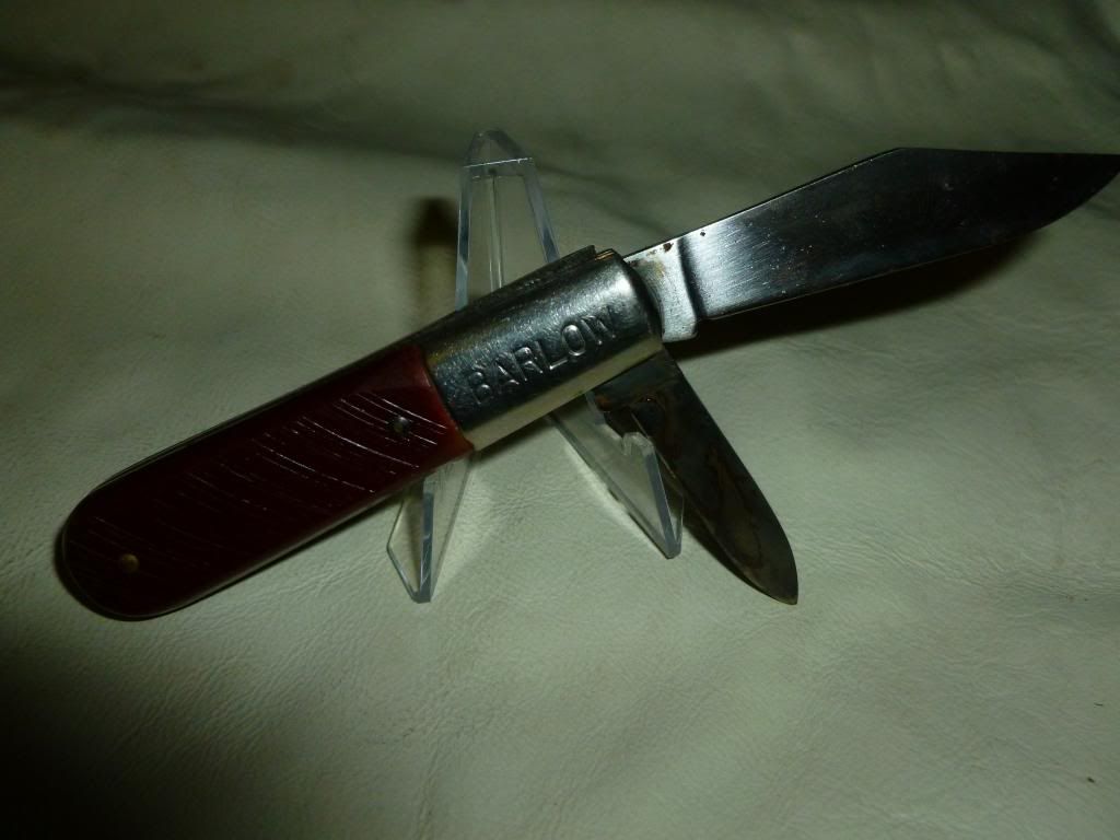 P1010441.jpg