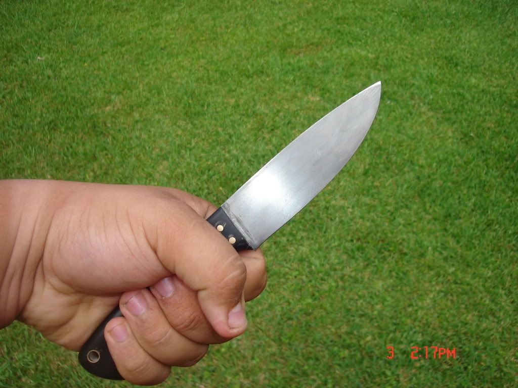 forager007.jpg