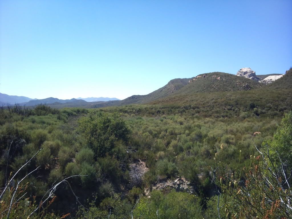 2011-08-09151043.jpg