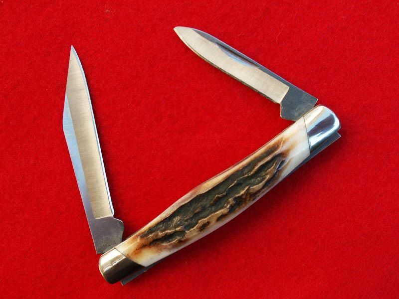 Stag309c.jpg