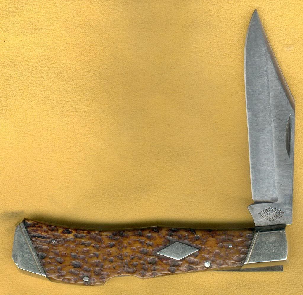 ShapleighSaddlehorn1.jpg