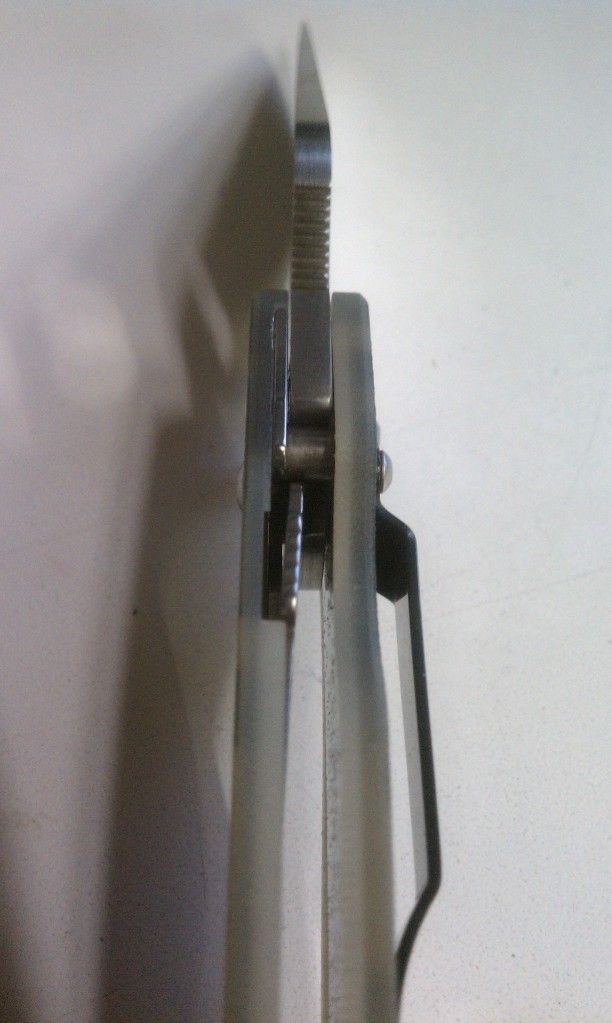 IMAG0816.jpg