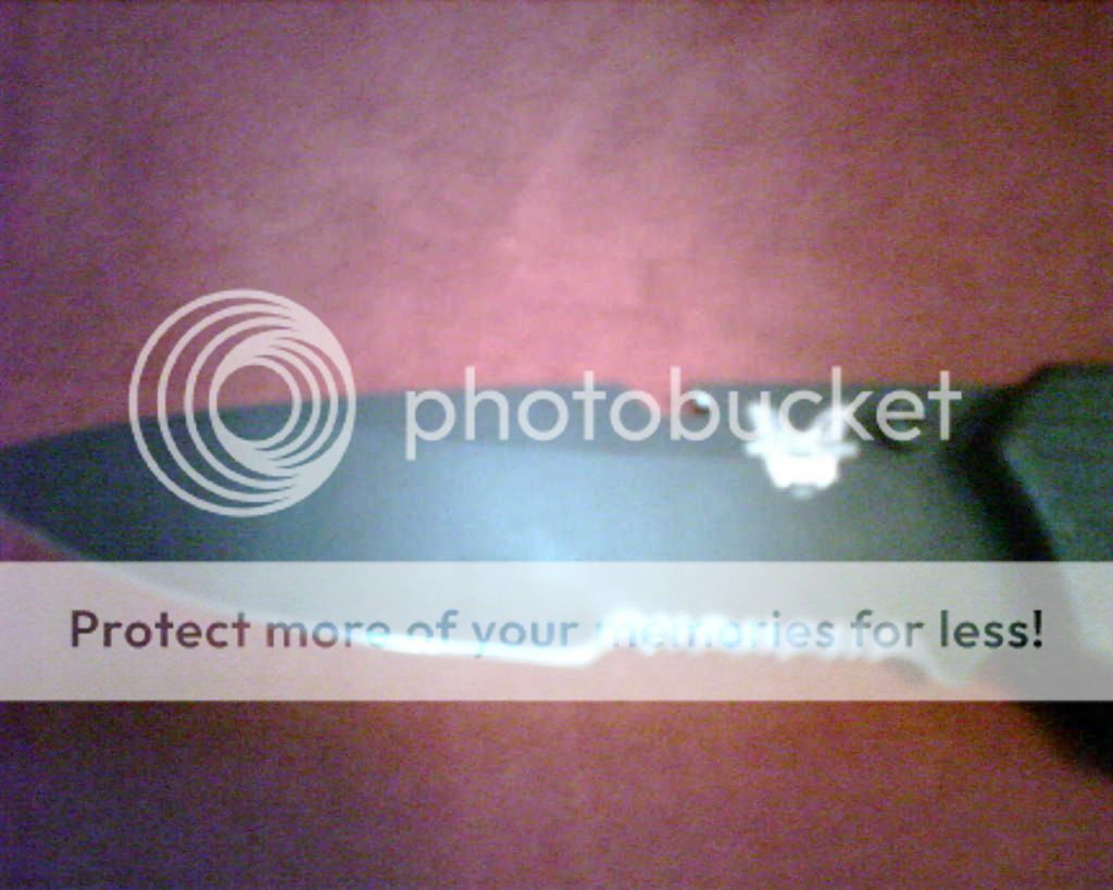 IMG00278.jpg