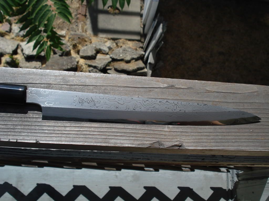 DSC00566.jpg