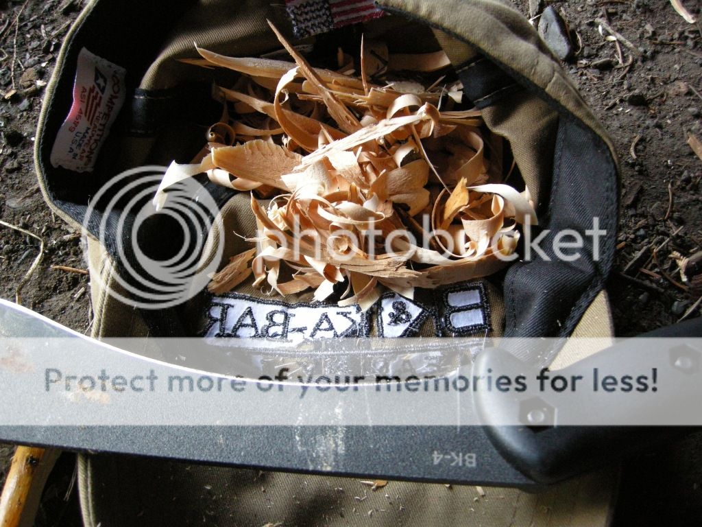 DSCN2545.jpg