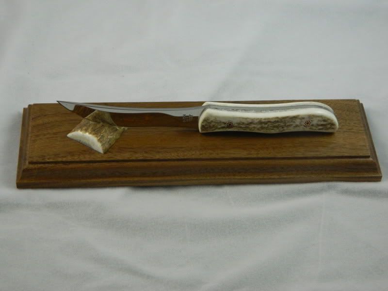 DSCN2082.jpg