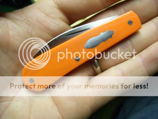 100_1271.jpg