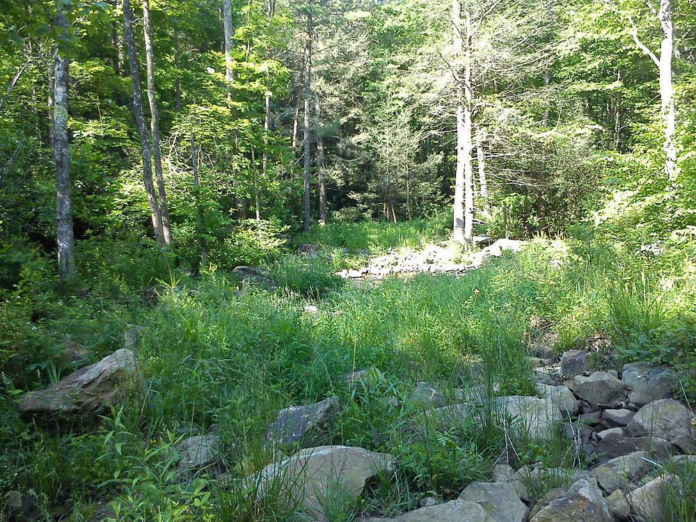 7290511490_a277449343_b.jpg