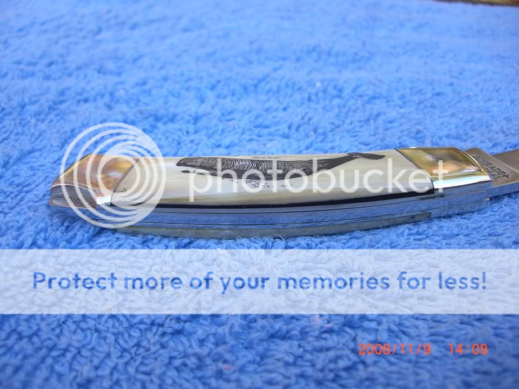 Knives1140.jpg