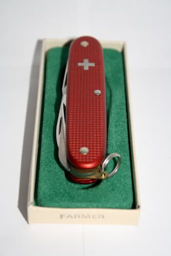 swiss024.jpg