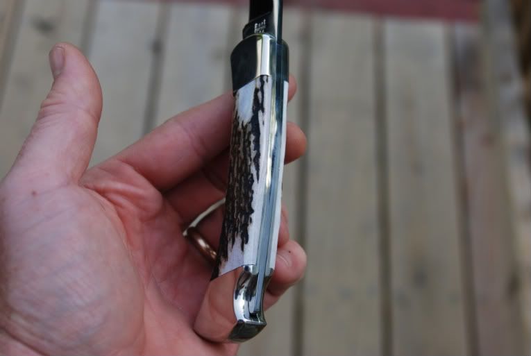 DSC_1155.jpg