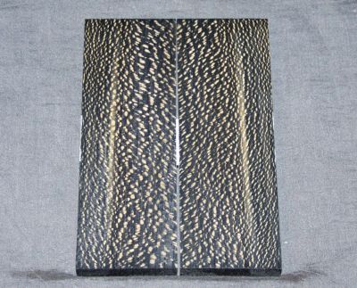 s1211.jpg