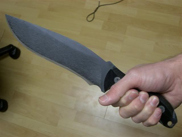 CIMG2550Small.jpg