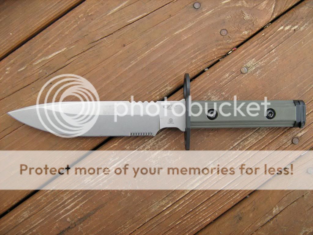 IMG_1960_zpsf50f648b.jpg