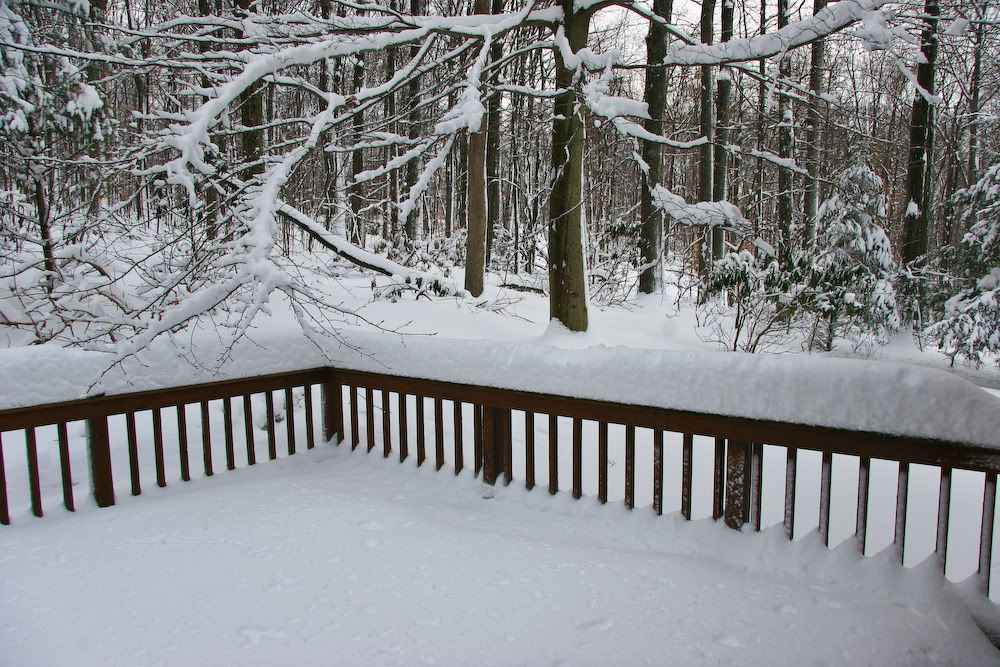 Snowstorm_1-27-11c.jpg