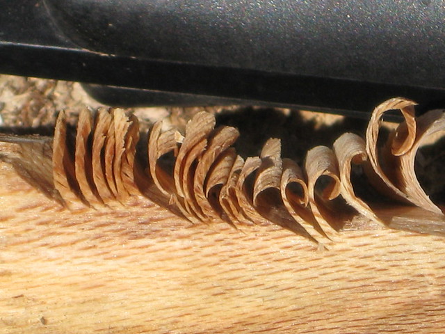 5627817793_e62973158a_z.jpg