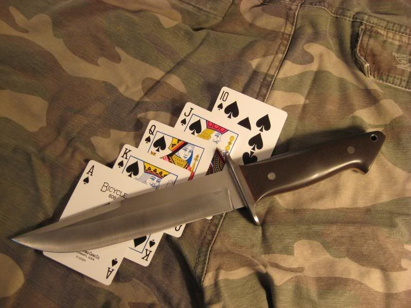 denningfighter004.jpg