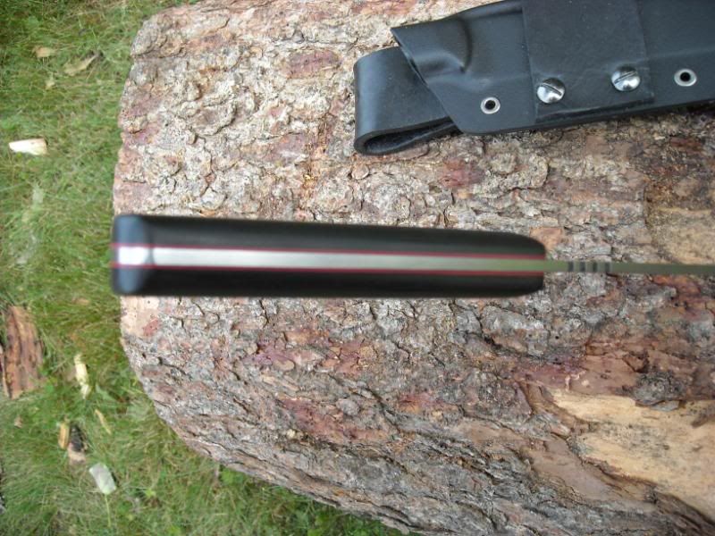 blackwidow003.jpg