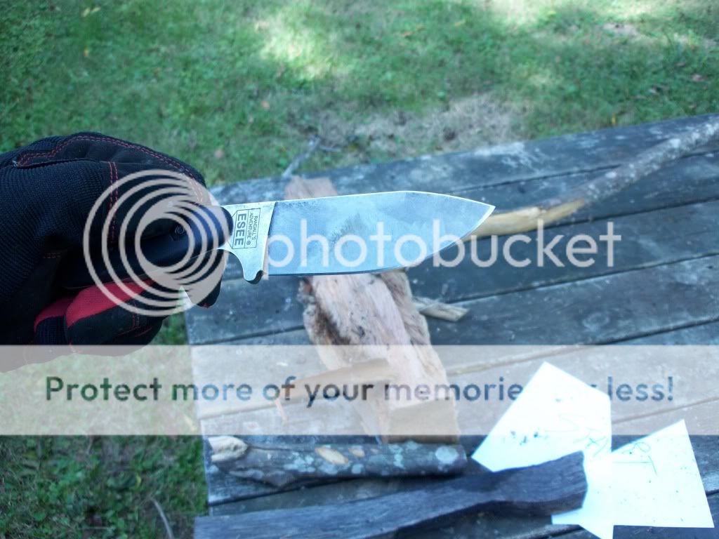 100_3217.jpg