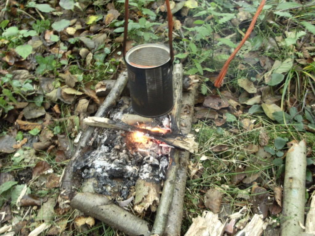 DSCF1254.jpg