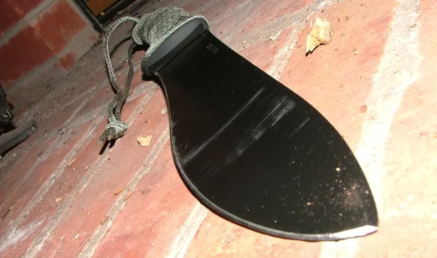 DSCF3250.jpg