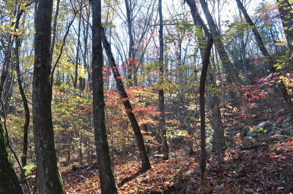 DSC_4766.jpg