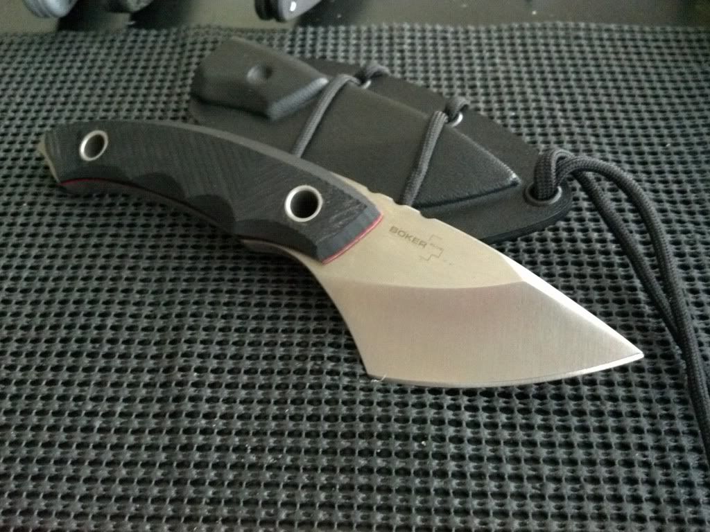 4929D8C9-orig.jpg