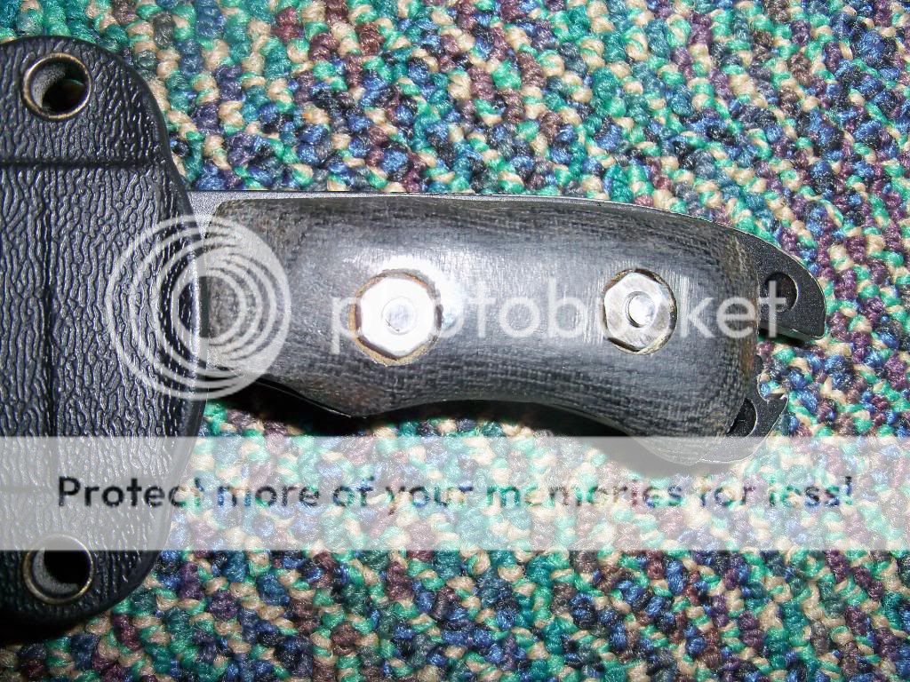 100_4523.jpg