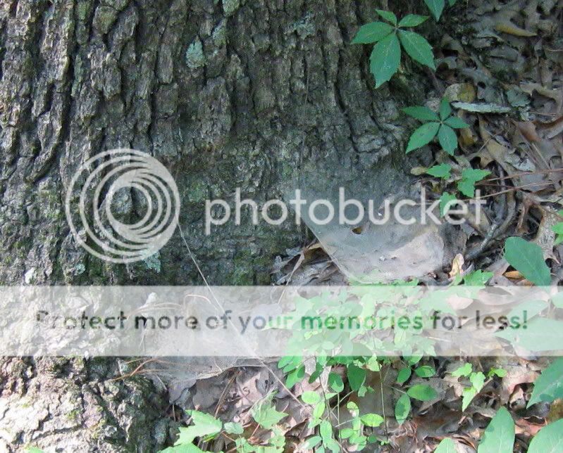 IMG_5687.jpg