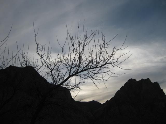 IMG_1068.jpg