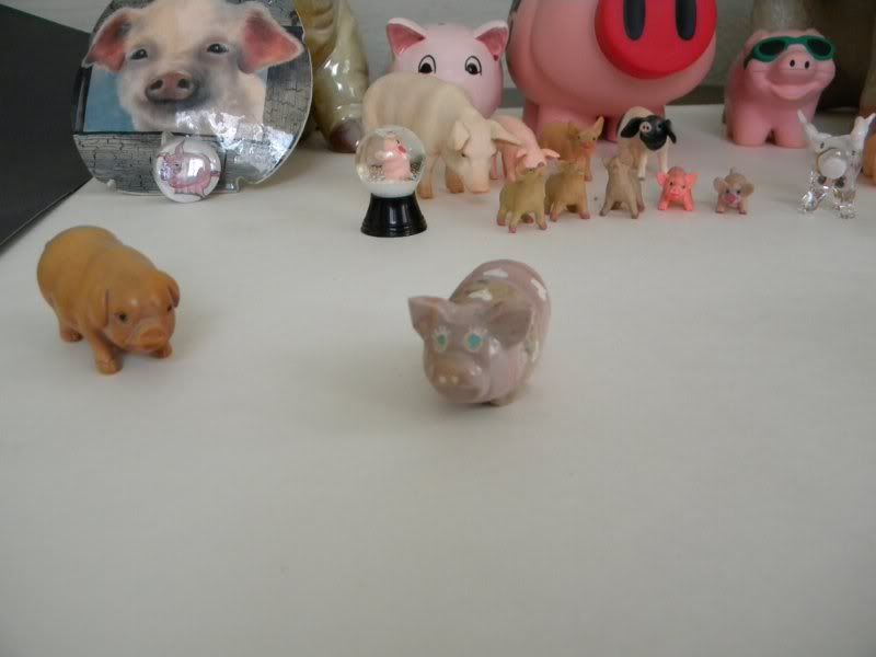 all_pigs_2.jpg