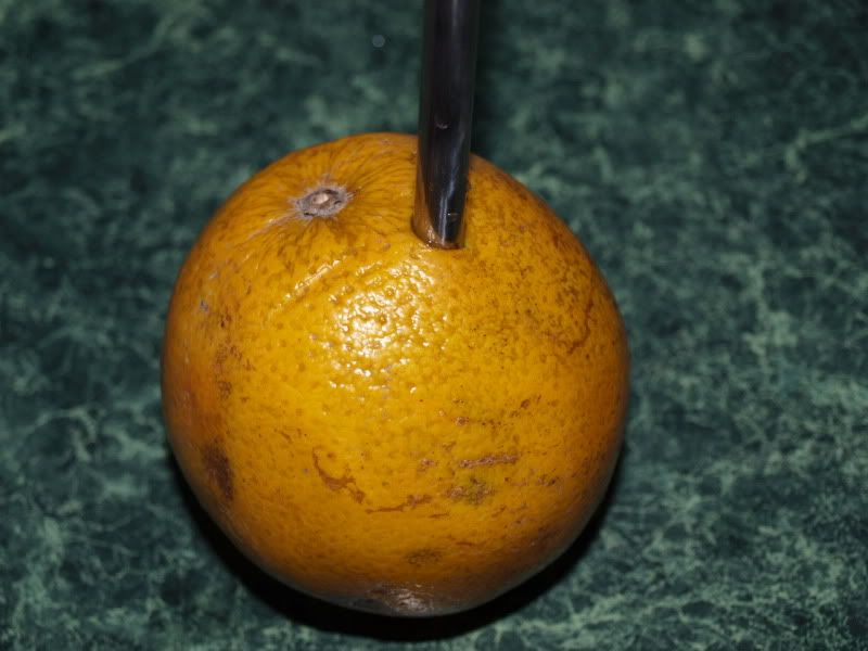0cf06e0a.jpg