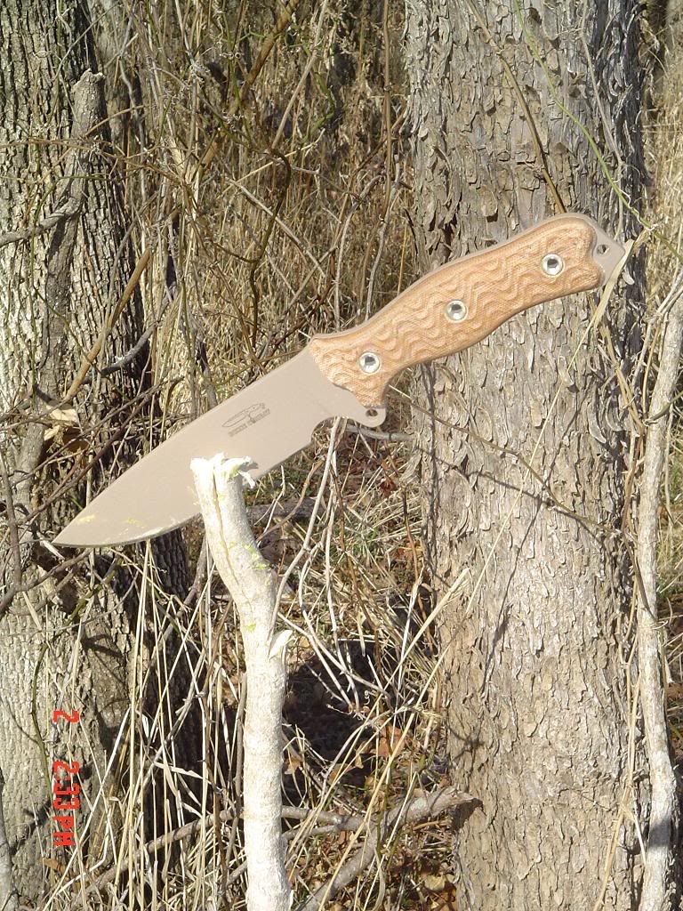 SJTvsStick.jpg