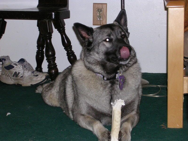DSCN0031.jpg