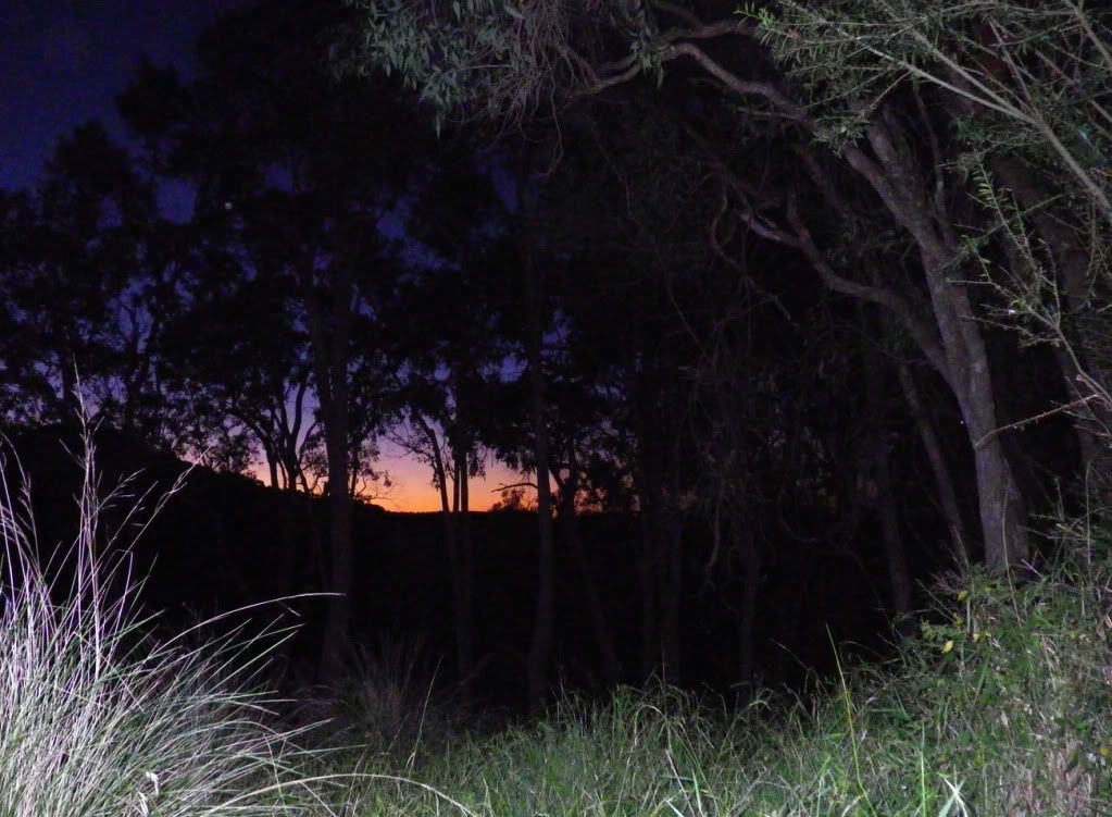 BFSSunset.jpg