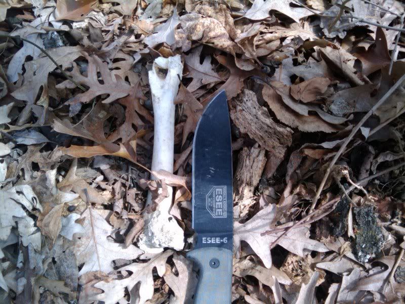 2011-03-18123930.jpg