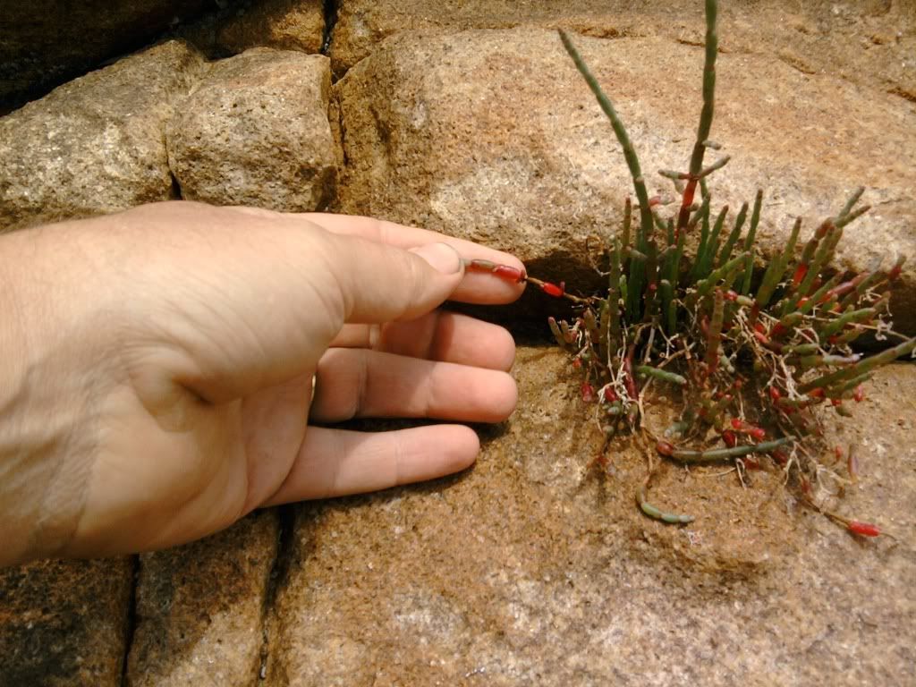 Photo032.jpg