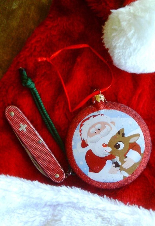 MerryChristmasPioneer_zps40d83682.jpg
