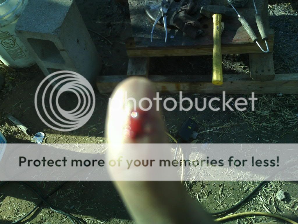 CutThumbPicture.jpg