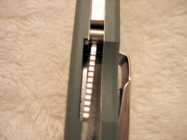 IMG_2665.jpg