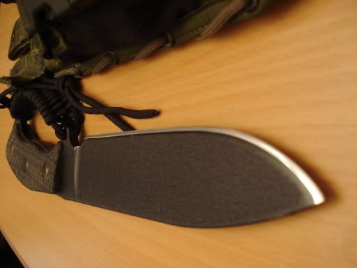 busse5.jpg