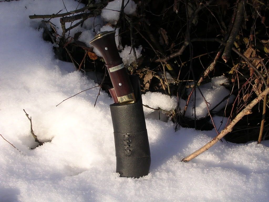 DSCN1800.jpg