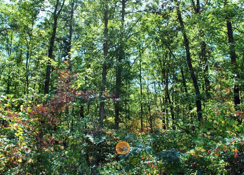 DSC_3240.jpg