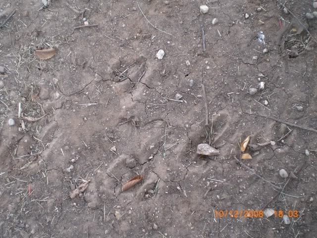 AbileneTripOctober2008142.jpg