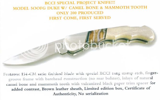 BCCI-500.jpg