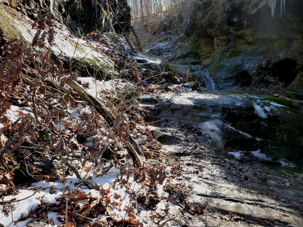 8504820149_93e6eba7cc_b.jpg