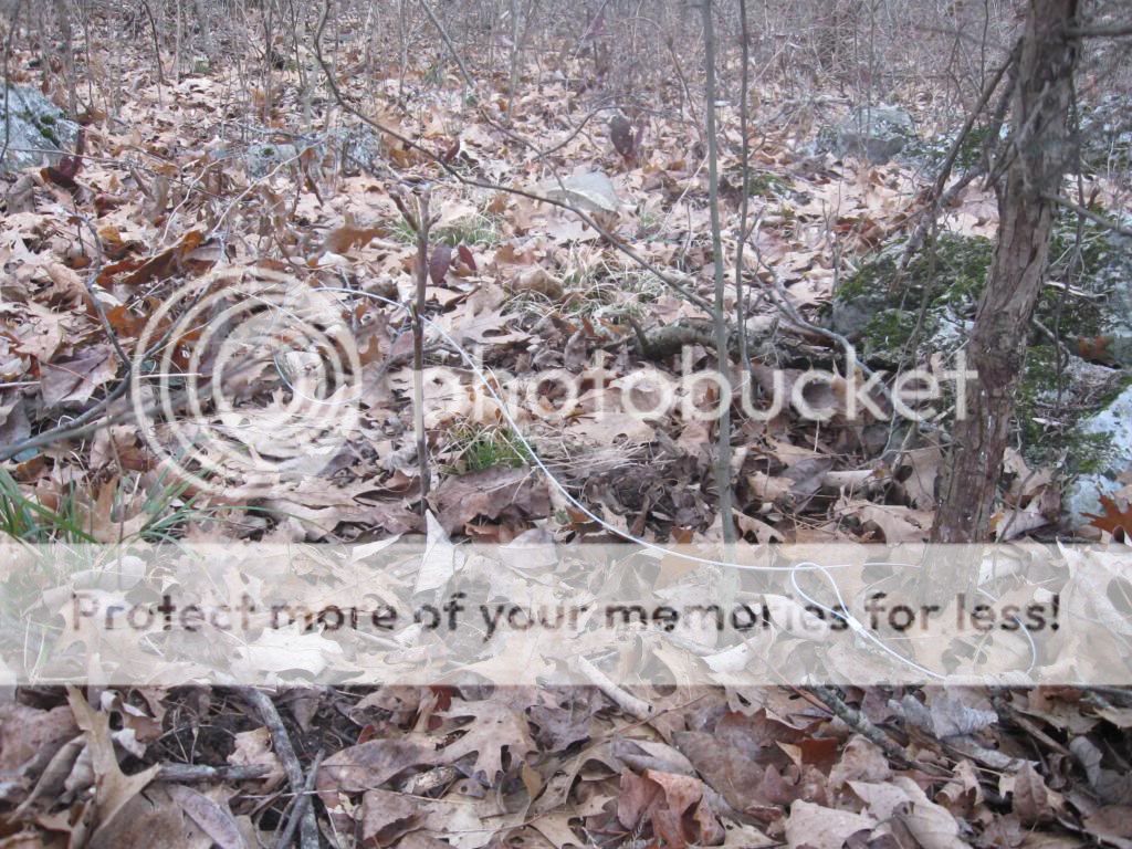 IMG_4698_zps48c7183b.jpg